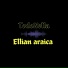 Ellian Araica