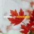 raspberrymusic