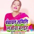 Chandan Bihari
