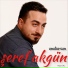 Şeref Akgün