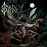 Skinflint