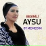 Besnili Aysu