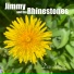 Jimmy And The Rhinestones