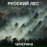 Чичерина