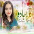 Riaz Saqi