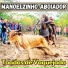 Manoelzinho Aboiador
