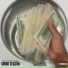 ONLY THE MONEY, Spring Tyme
