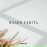Teguh