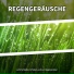 Regen zur Entspannung, Regengeräusche, Schlafmusik