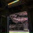 fadinglight