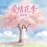 鱼咩咩