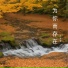 王建安