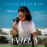 Tegar Gunawan