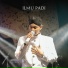 Didik Budi