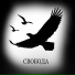 owlsee