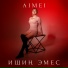 AIMEI