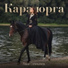 Ринат Салихьянов, Tomoov