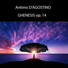 Antimo D'Agostino