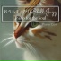 Piano Cats