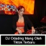 Dj Tiktok