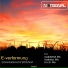 E - Verformung