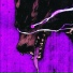 SMXKYDOG feat. Shoma GTR