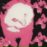 Cherry Hencefox