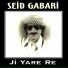 Seid Gabari