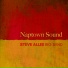 Steve Allee Big Band