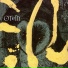 Otem