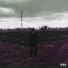 ogcardi