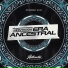 DJ WL7, Authentic Records feat. Mc Magrinho
