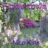 Nico Kins