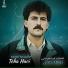 Teha Hacî
