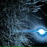 xy1va, ilence