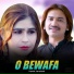 Hamid Jamshaid