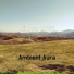 Ambient Aura