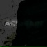 acidrain