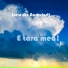 Sorin din Barbulesti