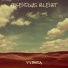 VYNSTA
