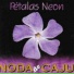 Noda de Caju