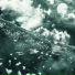 True World, Tsunami J.