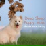 Relaxmydog, Dog Music Dreams, Dog Music