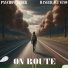 Haseeb Ali VEVO, Psychoweeder