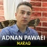 Adnan Pawaei