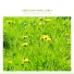 Landscape Sound