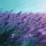 张泳浩