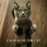 Sweet Dreams Music Ambient, Ambient New Age