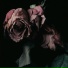 Mishel Dray