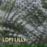 Lofi Lilly